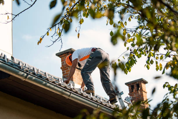 Roof Gutter Cleaning in Seal Beach, CA